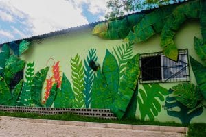 Adding color to the Oncology Institute in Bolivia
